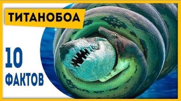 Video ХОРОШО, ЧТО ЭТОТ ЗМЕЙ ВЫМЕР! 10 фактов о титанобоа! | Динозавры и другие вымершие животные! na Polish