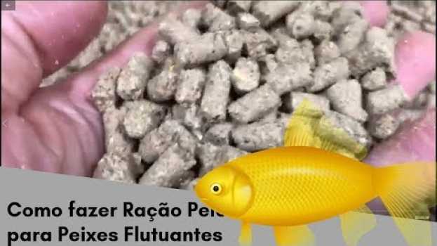 Video Como Fazer Ração em Pelotas Flutuante Para Peixes. #ração #pellets #pelletmill #pelete en français