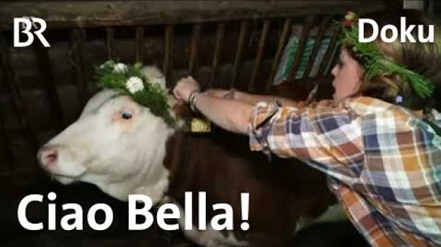 Video Bella auf der Alm 4/4: Abschied von der Hütte | Doku | BR | Berge | Landwirtschaft | Jobtausch en français