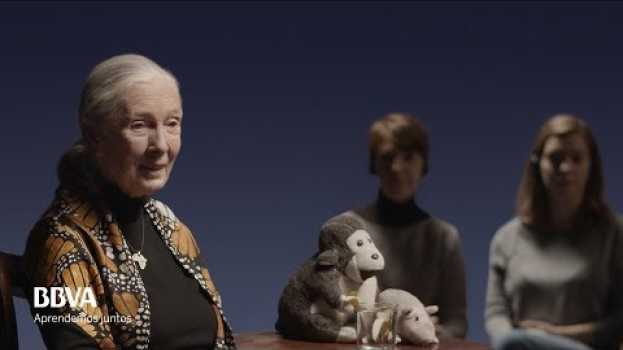 Video "Tenemos intelecto. ¿Pero somos tan inteligentes?". Jane Goodall, primatóloga en français
