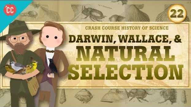 Видео Darwin and Natural Selection: Crash Course History of Science #22 на русском