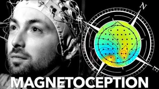 Видео Can Humans Sense Magnetic Fields? на русском