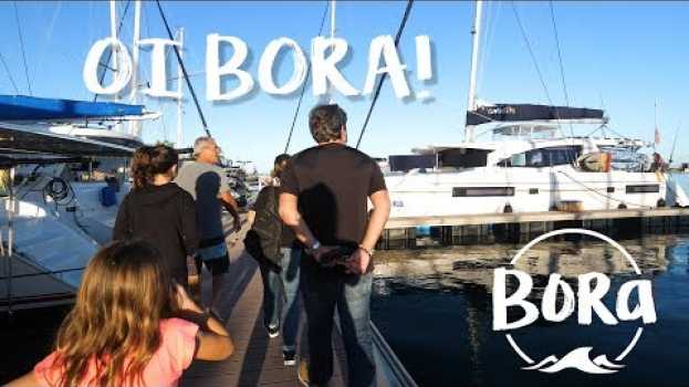 Video BORA #155 - DE VOLTA AO BORA! Mas antes precisamos achar a Lola (English/Spanish CC) in English