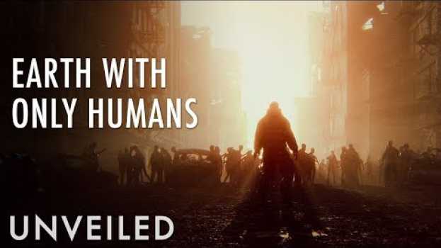 Video What If All Non-Human Life Disappeared? | Unveiled na Polish