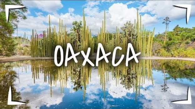 Video OAXACA ► QUE HACER, VISITAR y COMER en 2 - 3 días  🔴 TOUR GASTRONÓMICO MUY COMPLETO 🐖 en Español