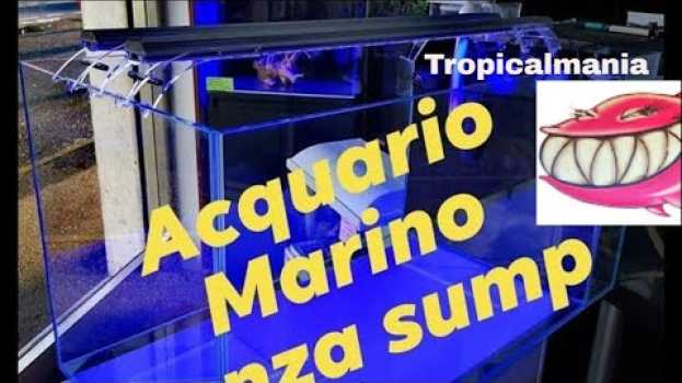 Видео Acquario Marino senza sump By Tropicalmania на русском
