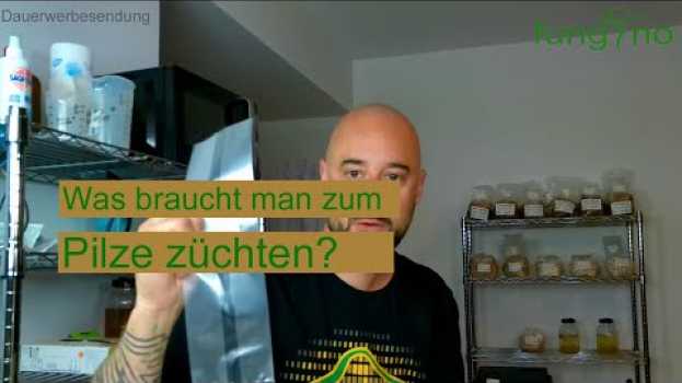 Video Pilze züchten - Was braucht man um selbst Pilze zu züchten? Pilzzucht FAQ #1 in Deutsch