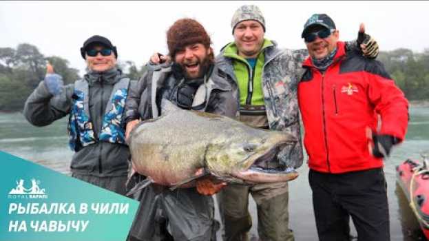 Video Рыбалка на чавычу в Чили с Royal Safari: есть рекорд! na Polish