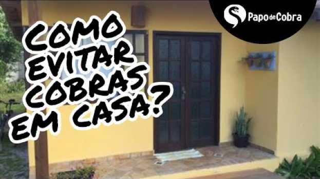 Video O que você deveria saber para evitar cobras dentro da sua casa. en Español