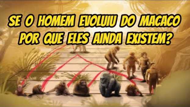 Video Se o homem evoluiu do macaco por que eles ainda existem? en Español