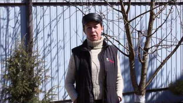 Видео Весенняя обработка деревьев и кустарников от болезней и вредителей на русском