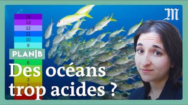 Video Nos océans deviennent plus acides et c’est un danger #PlanB su italiano
