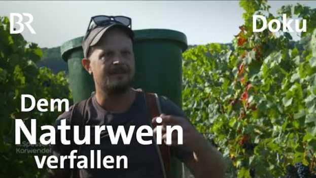 Video Wagnis Naturwein: Winzer Michael Völker aus Kitzingen | Zwischen Spessart und Karwendel | BR in English