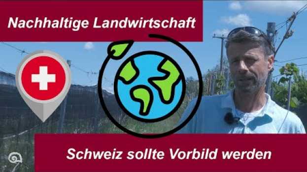Видео "Made in Switzerland sollte eine Marke sein, die für Nachhaltigkeit steht" на русском