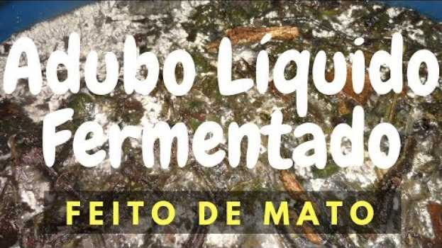 Video Com fazer adubo orgânico: Mato Fermentado en français