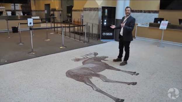 Video Embarquez dans cette tournée virtuelle du Musée, jadis le siège temporaire du Parlement canadien em Portuguese