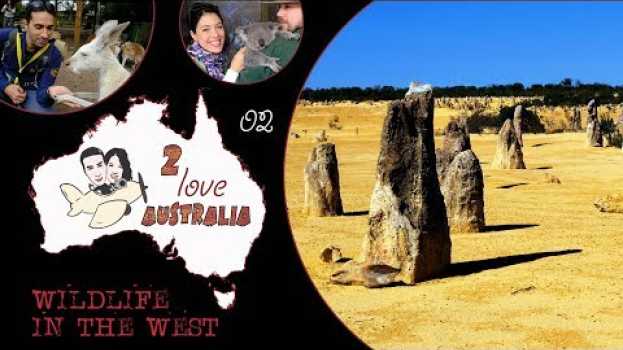 Video Marsupiali e deserti di sabbia nel WESTERN AUSTRALIA #Australia2love.02 documentario di viaggio em Portuguese