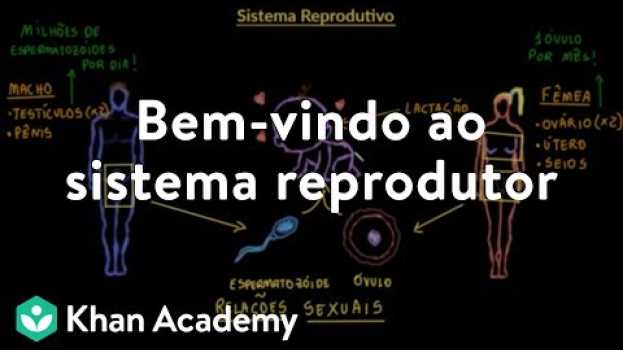 Video Bem-vindo ao sistema reprodutor en Español