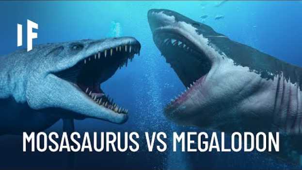 Video What If the Megalodon Shark Fought the Mosasaurus? na Polish