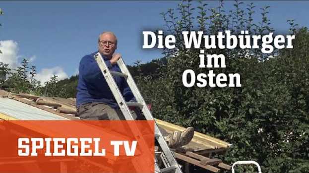 Video Blaues Wunder im Osten: Der Siegeszug der AfD | SPIEGEL TV in English