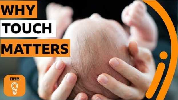 Video What happens to humans when we can't touch? | BBC Ideas en français
