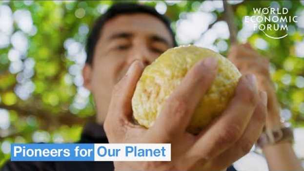 Video Innovators in Sustainability and Global Restoration | Pioneers for Our Planet en français