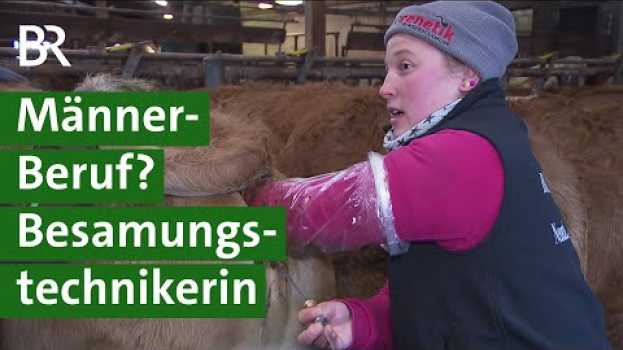Video Traumberuf im Kuhstall: Der Alltag als Besamungstechnikerin | Kühe Doku | Unser Land | BR en français