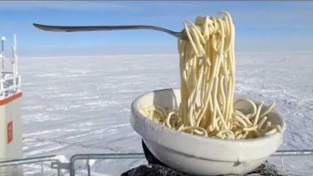 Video 13 человек находятся в проклятой холодной, голодной Антарктиде  Вот как они выживают в этом забытом en Español