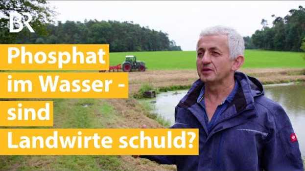Video Düngeverordnung: Sind Landwirte schuld an Gewässerbelastung mit Phosphat? | Unser Land | BR in English