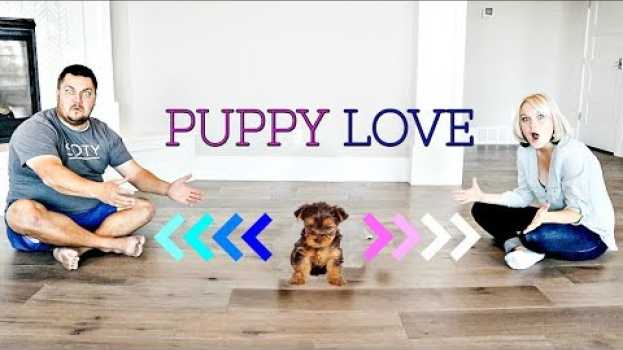 Video Who Does our PUPPY Love the Most? em Portuguese