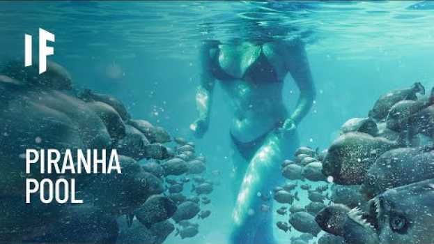 Video What If You Fell Into a Piranha Pool? em Portuguese