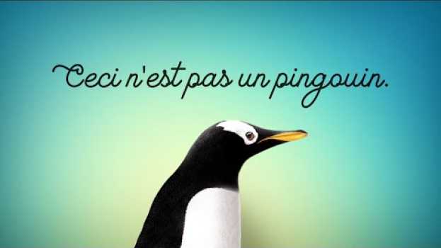 Video CECI N'EST PAS UN PINGOUIN - Marius Raconte en Español