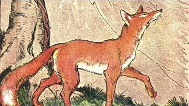 Video Aesop's Fable: The Fox and the Grapes (Phaedrus, 1st c.) - trans. AFM - Classic Children's Poems en Español