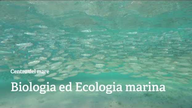 Video Corso di Laurea Magistrale in Biologia ed ecologia marina em Portuguese