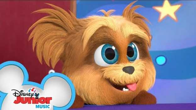 Video Chin Up, Pups 🐶 | Music Video | Puppy Dog Pals | Disney Junior in Deutsch