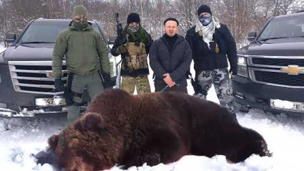 Video Спецназ против медведя | Опасная охота с Серегой Штык от @ProBroPshenko su italiano