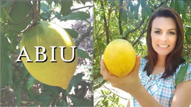 Video ABIU | Madame das Frutas in English