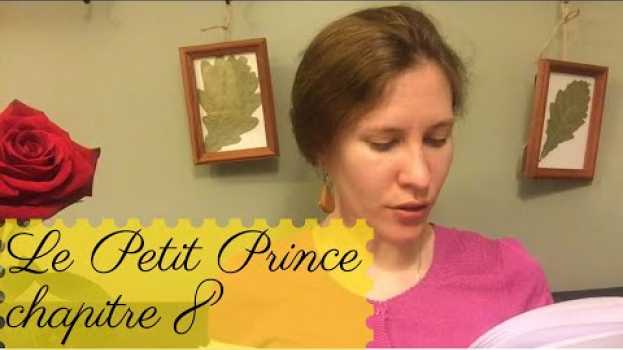 Video Chapitre 8. Le Petit Prince -  Antoine de Saint-Exupéry (EN/FR SUB) su italiano