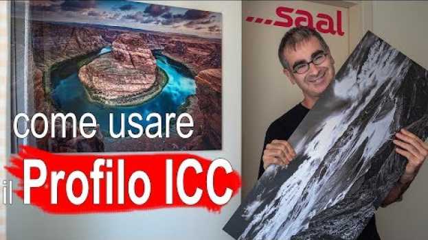Video Stampare Senza Sorprese con i Profili ICC – Recensione Fotoquadro Saal Digital en Español