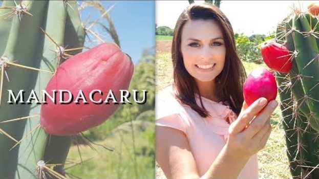 Video MANDACARU | Madame das Frutas en français