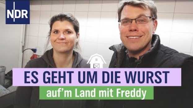Video Premiere auf Hof Schmoldt - die Knackwurst | Folge 2 | NDR auf'm Land en français