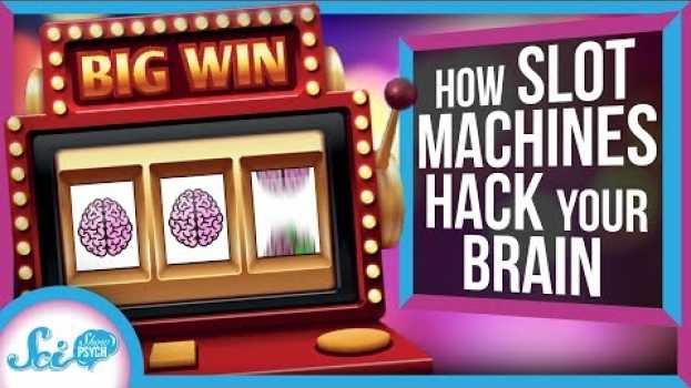 Video What Slot Machines Can Tell Us About Our Brains en français