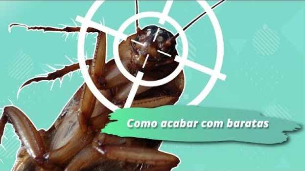 Video Como acabar com baratas sem veneno: 3 dicas caseiras poderosas! en Español