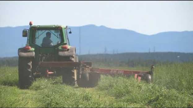 Видео La semaine verte | Retour sur l'été agricole на русском