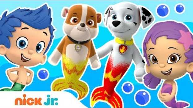 Video How Bubble Guppies & PAW Patrol Merpups Are Alike! 🧜| Nick Jr. in English