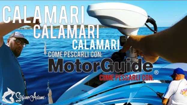 Video Calamari con il motore elettrico di giorno: Calamari nel pozzo con Guido em Portuguese