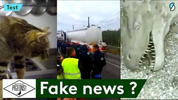 Video Avez-vous cru à ces fausses nouvelles ? #ONPDP em Portuguese