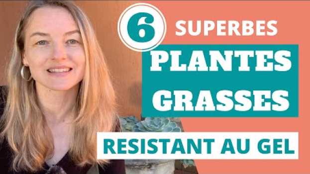 Video 5 superbes plantes grasses exterieur resistant au gel (+ 1 bonus) en français