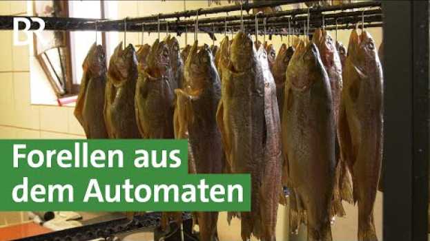 Video Nachhaltiger Fisch vom Forellenautomat - Ideen für Hofladen und Direktvermarktung | Unser Land | BR en français