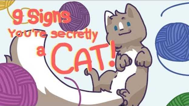 Video 9 Signs You're Secretly a Cat - MEOW! em Portuguese